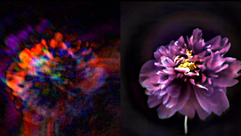 Mira las fotos alucinantes capturadas por la nanocámara