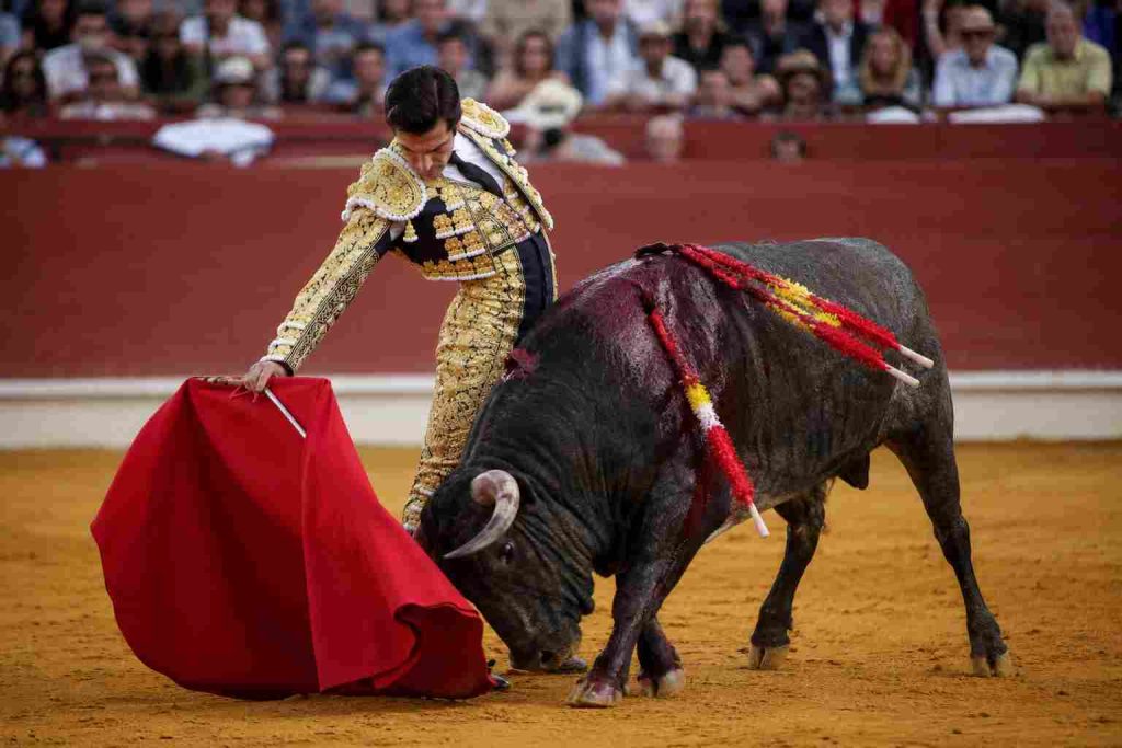 Cebada Gago deja una corrida de gran presentación y buenas sensaciones en Pamplona Cebada Gago deja una corrida de gran presentación y buenas sensaciones en Pamplona